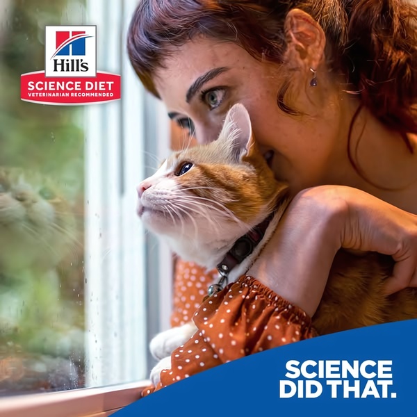 A close-up, emotional shot of a pet owner hugging their cat while looking out a window, emphasizing the bond between owner and pet.